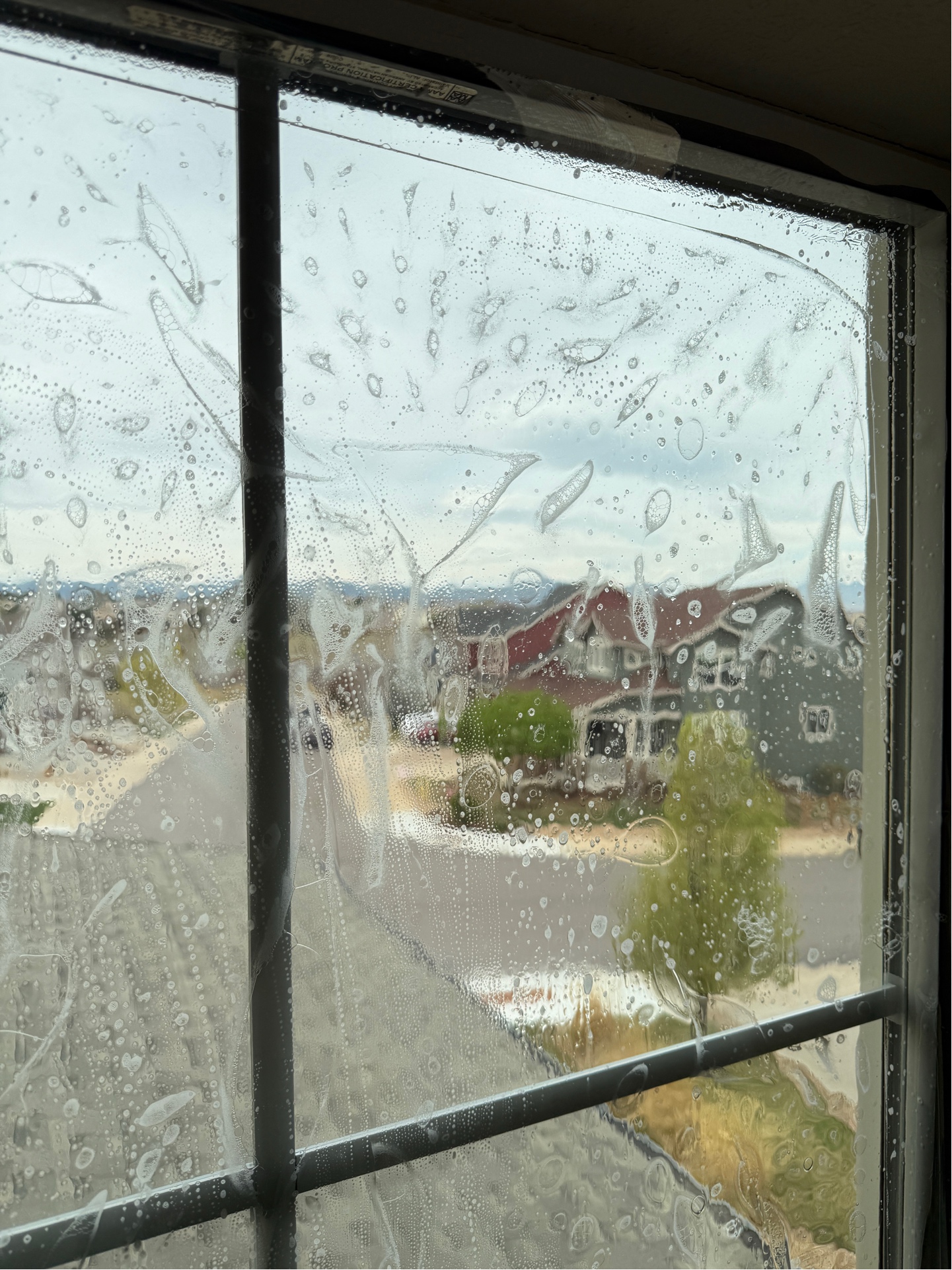Professional window tint on home windows